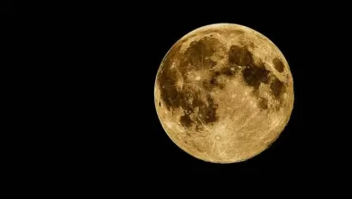 Photo of आज आसमान में दिखेगा पूरा चांद, इतने बजे छत से देखे अद्भुत नजारा