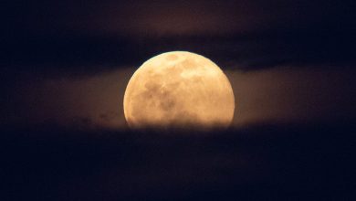 Photo of चीनी रोवर को चाँद पर मिली रहस्यमयी चमकती गोलियां,वैज्ञानिक भी हैरान