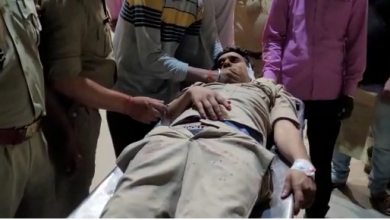 Photo of आवारा सांड के हमले का शिकार हुआ पुलिसकर्मी, आगरा रेफर