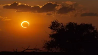 Photo of साल का पहला सूर्य ग्रहण, भारत में सूतक का नहीं रहेगा असर