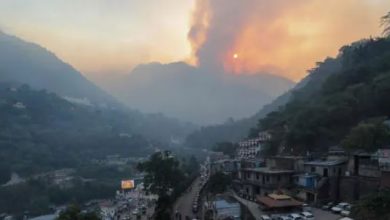 Photo of आग के चपेट में आया LOC, कई बारुदी सुरंग में भी हुआ विस्फोट