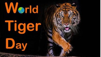 Photo of विश्व बाघ दिवस: आइए जानें भारत कैसे 1411 बाघों से संरक्षण की वैश्विक सफलता की कहानी तक गया