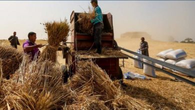Photo of Wheat import : विदेश से गेहूँ इम्पोर्ट नहीं करेगा  भारत,सार्वजनिक वितरण के लिए पर्याप्त स्टॉक है