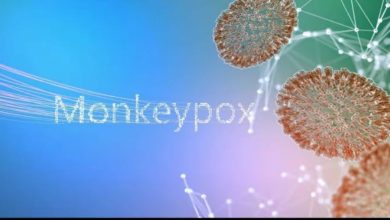 Photo of Monkeypox: न्यूयॉर्क ने घोषित किया हेल्थ इमरजेंसी, अमेरिका भी मंकीपॉक्स की चपेट में