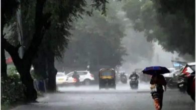 Photo of यूपी में अभी और होगी जमकर बारिश, मौसम विभाग ने कई जिलों में जारी किया अलर्ट