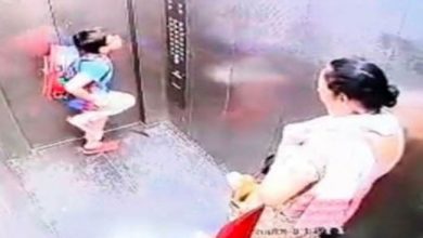 Photo of गाजियाबाद में इंसानियत हुई शर्मशार, लिफ्ट में बच्चे को कुत्ते ने काटा, बेफिक्र होकर निकल गई महिला