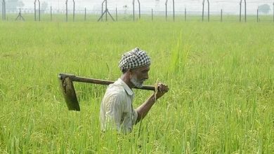 Photo of भगौती जिन्दा है: 35 साल से खुद को जिन्दा साबित करने के लिए भटक रहा किसान