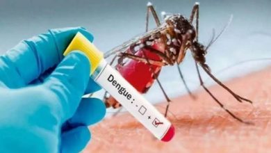 Photo of Dengue Update: प्रदेश में डेंगू के मरीजों की संख्या पहुँची 3607, दो लोगो की मौत
