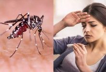 Photo of Dengue Preventive Food: इन हेल्थी फूड्स का सेवन बचाएगा आपको डेंगू से, जानिए यहां