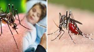 Photo of उत्तर प्रदेश में नहीं हो रहा है कम डेंगू का संक्रमण, इन दो शहरों में मिले हैं सबसे अधिक मामले
