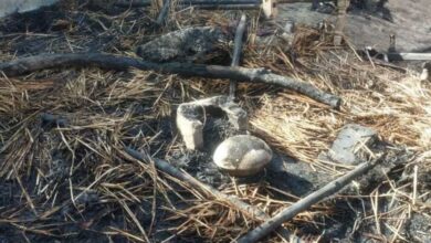 Photo of हरदोई: चिंगारी से लगी घर में आग, दो मासूमो की ज़िंदा जलकर मौत