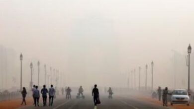 Photo of दिल्ली की हवा ‘बहुत खराब’ बनी. प्रदूषण पर लगाम हटाया गया, स्कूल कल फिर से खुलेंगे