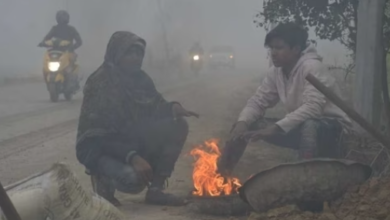 Photo of शीत लहर की जकड में उत्तर भारत, यूपी के कुछ हिस्सों में ठण्ड से गंभीर हालात, छाया घना कोहरा