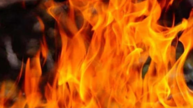 Photo of मेरठ: घर में आग लगने से 4 बच्चों की जलकर मौत, माता-पिता गंभीर रूप से झुलसे