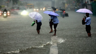 Photo of मौसम: दिल्ली-एनसीआर में हल्की बारिश, यूपी, हिमाचल, एमपी में ऐसा रहेगा मौसम