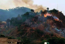 Photo of उत्तराखंड: जंगल में आग से 657 हेक्टेयर क्षेत्र जलकर खाक, आग बुझाने के लिए सेना को लगाया गया