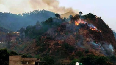 Photo of उत्तराखंड: जंगल में आग से 657 हेक्टेयर क्षेत्र जलकर खाक, आग बुझाने के लिए सेना को लगाया गया