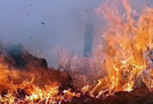 Photo of उत्तराखंड: जंगल की आग से निपटने एनडीआरएफ को भेजा गया नैनीताल, अधिकारियों की छुट्टियां रद्द