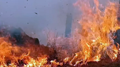 Photo of उत्तराखंड: जंगल की आग से निपटने एनडीआरएफ को भेजा गया नैनीताल, अधिकारियों की छुट्टियां रद्द