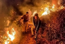 Photo of खतरनाक रूप ले रही उत्तराखंड में जंगल की आग, रानीखेत में सैन्य अस्पताल, गोल्फ कोर्स तक पहुंची लपटे