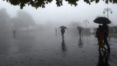 Photo of UP weather alert: मौसम विभाग ने जारी किया अलर्ट, 20 से ज्यादा शहरों में हो सकती है बारिश