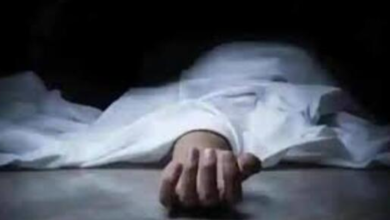 Photo of बहराइच के गांवों में भेड़ियों का आतंक, इस महीने तीन बच्चों की हुई मौत