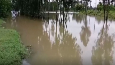 Photo of मुरादाबाद: भारी बारिश के कारण हुआ भीषण जलभराव, फसलों को भारी नुक्सान