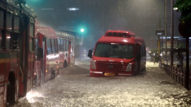 Photo of मुंबई बारिश: जलभराव वाली सड़क पर नाले में गिरने से महिला की मौत, BMC ने दिए उच्चस्तरीय जांच के आदेश