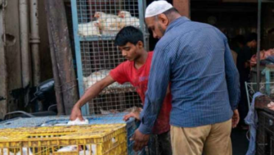 Photo of अयोध्या: नवरात्रि के दौरान बंद रहेंगी मांस की दुकानें बंद, जारी हुई एडवाइज़री