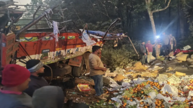 Photo of कर्नाटक: उत्तर कन्नड़ जिले में सब्जी ट्रक और ट्रिपर की टक्कर में 10 लोगों की मौत