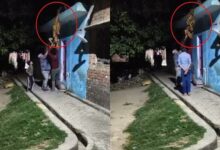 Photo of बरेली: शराब के नशे में पत्नी को छत से उल्टा लटकाने वाला पति गिरफ्तार, तीन आरोपी फरार