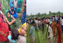 Photo of बहराइच में फिर भेड़िए की दस्तक: ननिहाल आए मासूम को घर से उठा ले गया भेड़िया, गन्ने के खेत में बनाया शिकार, ऐसी हालत में मिला शव
