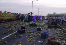 Photo of आगरा में शाहदरा फ्लाईओवर पर भीषण हादसा: आम से लदी मैक्स गाड़ी पलटी, इतनो की मौत, क्लीनर गंभीर