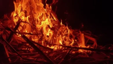 Photo of हैदराबाद में आवासीय इमारत में आग लगी, 5 लोगों को बचाया गया