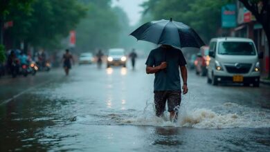 Photo of यूपी मौसम: बारिश के बाद मानसून में ठहराव के संकेत, अगस्त-सितंबर में सामान्य से अधिक बारिश की उम्मीद