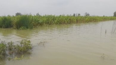 Photo of मुरादाबाद: गागन नदी में नहाते समय दो किशोरों की डूबने से मौत, पुलिस ने शुरू की कानूनी कार्रवाई