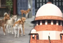 Photo of कुत्ते भी मुझे आशीर्वाद दे रहे हैं’: सुप्रीम कोर्ट के जज विक्रम नाथ ने आवारा कुत्तों के मामले में CJI को धन्यवाद दिया