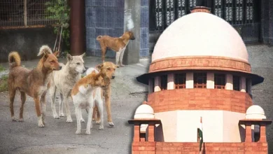 Photo of कुत्ते भी मुझे आशीर्वाद दे रहे हैं’: सुप्रीम कोर्ट के जज विक्रम नाथ ने आवारा कुत्तों के मामले में CJI को धन्यवाद दिया