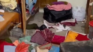 Photo of बीकानेर: लूणकरणसर में चोरों ने उड़ाए इतने लाख के जेवर और नकदी, बरामदे में सो रहा था परिवार, सीसीटीवी में कैद हुई वारदात