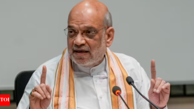 Photo of जगदीप धनखड़ के इस्तीफे पर अमित शाह का बयान: ‘स्वास्थ्य कारणों से दिया इस्तीफा, विपक्ष के दावे बेबुनियाद’