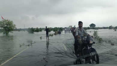 Photo of प्रयागराज में गंगा-यमुना का कहर: खतरे के निशान के पार, हजारों घर जलमग्न, राहत शिविरों में शरण