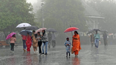 Photo of 14 राज्यों में भारी बारिश का कहर: नदियां उफनी, भूस्खलन से तबाही, अगले 5-7 दिन और बारिश की चेतावनी