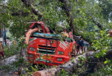 Photo of बाराबंकी बस हादसा: पेड़ गिरने से चार महिलाओं सहित पांच की मौत, यूपी सरकार ने घोषित किया 5 लाख का मुआवजा