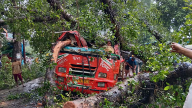Photo of बाराबंकी बस हादसा: पेड़ गिरने से चार महिलाओं सहित पांच की मौत, यूपी सरकार ने घोषित किया 5 लाख का मुआवजा