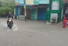 Photo of पीलीभीत में बारिश और बाढ़ का कहर: शारदा और देवहा नदियां उफान पर, स्कूल-कॉलेज इतने दिन बंद