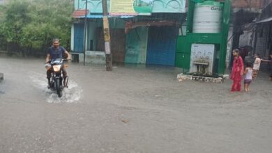Photo of पीलीभीत में बारिश और बाढ़ का कहर: शारदा और देवहा नदियां उफान पर, स्कूल-कॉलेज इतने दिन बंद