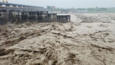 Photo of हरियाणा में बाढ़ का कहर: यमुना-मारकंडा नदियों का उफान, गांव-सड़कें जलमग्न, स्कूल बंद