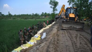 Photo of लुधियाना में धुस्सी बांध टूटने से तबाही, 1.72 हेक्टेयर फसल बर्बाद, 45 लोगों की मौत