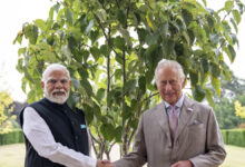Photo of प्रधानमंत्री मोदी ने किंग चार्ल्स द्वारा उपहार में दिया गया कदंब का पौधा लगाया