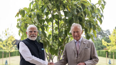 Photo of प्रधानमंत्री मोदी ने किंग चार्ल्स द्वारा उपहार में दिया गया कदंब का पौधा लगाया